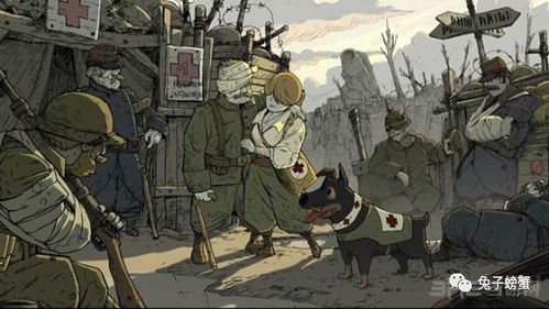 一战群雄：深度解析那个决定世界走向的大战中，英勇的士兵与他们背后的不为人知的故事