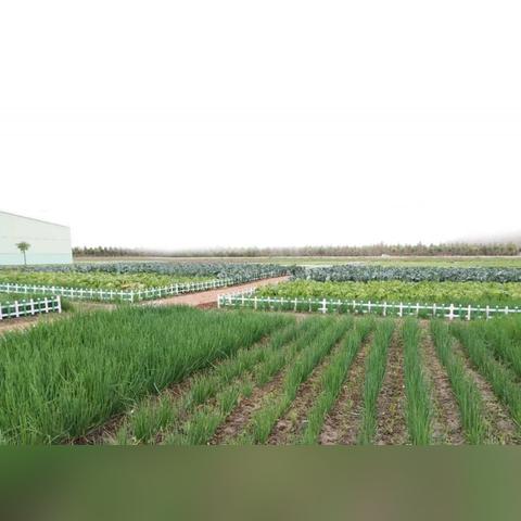 探寻光明之旅：限时卡池轮换顺序图详解，为你揭秘最新抽卡玩法